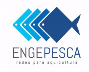 Como a Engepesca se tornou um case de sucesso em marketing digital